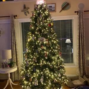 Meet your Posher, Sherry